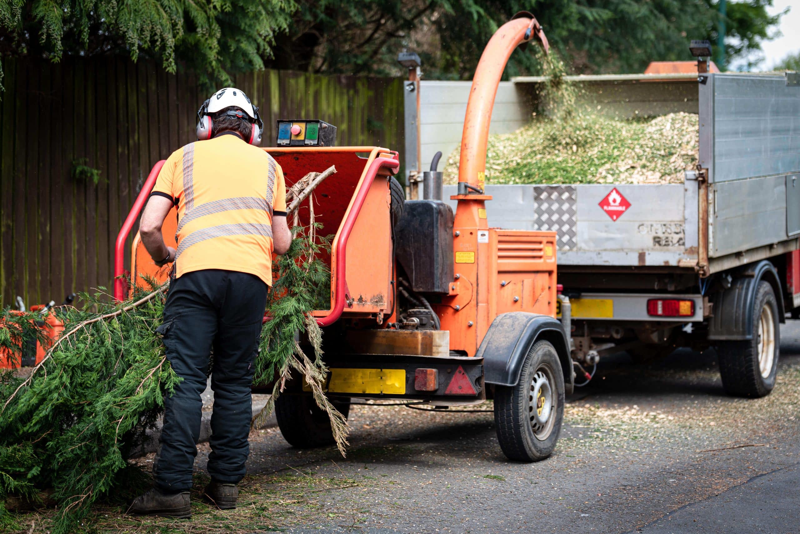 Tree Stump Grinding/Removal Tooting SW17